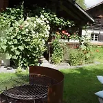 Darioli By Interhome Lejlighed Innertkirchen