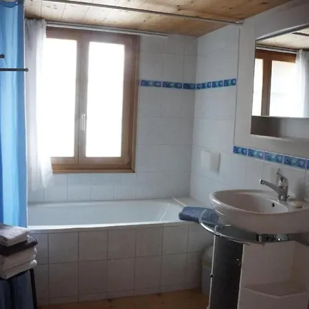 Appartement Darioli By Interhome Innertkirchen