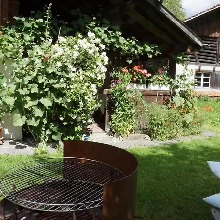 Darioli By Interhome Appartement Innertkirchen