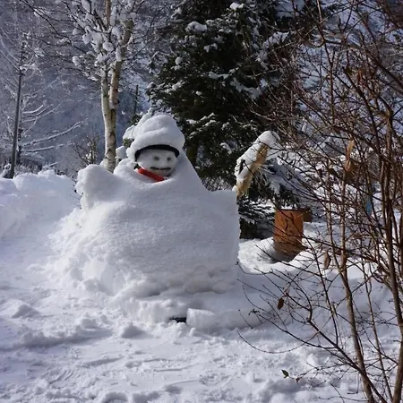 Darioli By Interhome * Innertkirchen