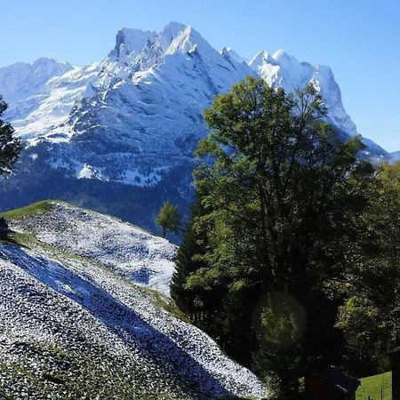 Darioli By Interhome Innertkirchen