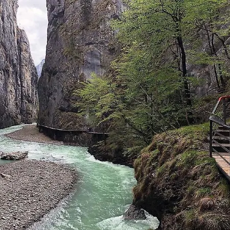 Darioli By Interhome Appartement Innertkirchen