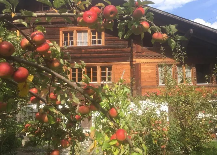 Darioli By Interhome * אינרטקירכן