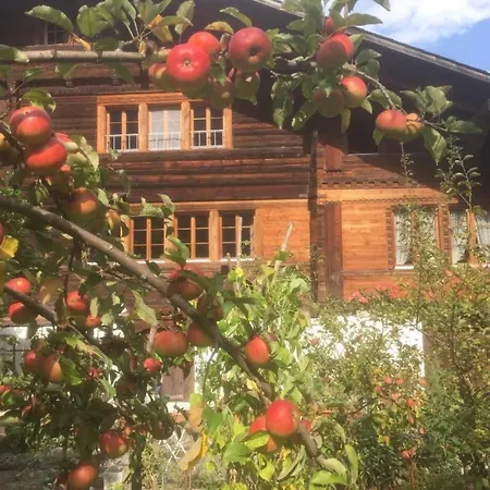 Darioli By Interhome * 茵诺科琴