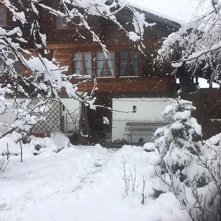 Lejlighed Darioli By Interhome Innertkirchen