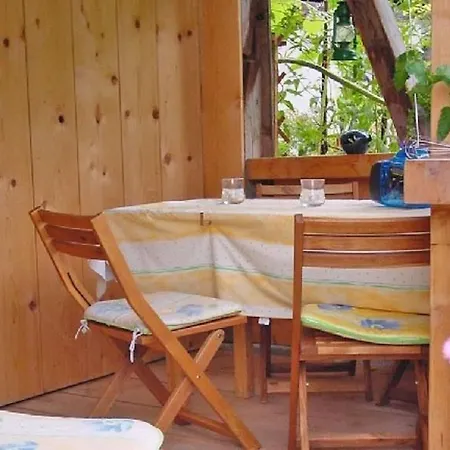 Darioli By Interhome Lägenhet Innertkirchen