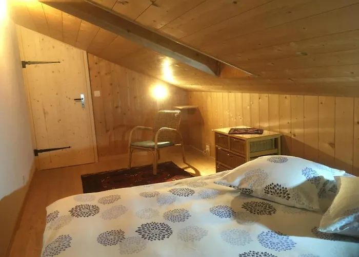 Darioli By Interhome Lejlighed Innertkirchen