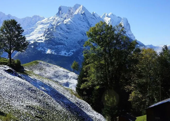 Darioli By Interhome Innertkirchen